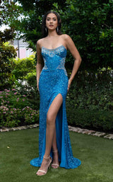 Rachel Allan 70952 Dress