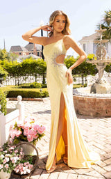 Rachel Allan 70965 Dress