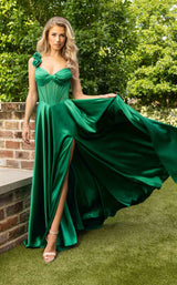 Rachel Allan 71004 Dress
