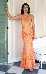 Rachel Allan 71007 Tangerine