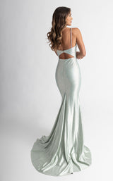 Rachel Allan 71014 Dress