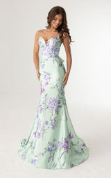 Rachel Allan 71023 Dress