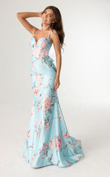Rachel Allan 71023 Dress