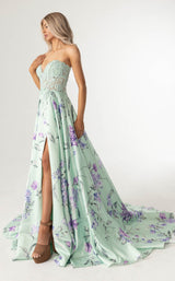 Rachel Allan 71031 Dress