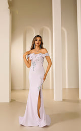 Terani 251E4237 Lilac Grey