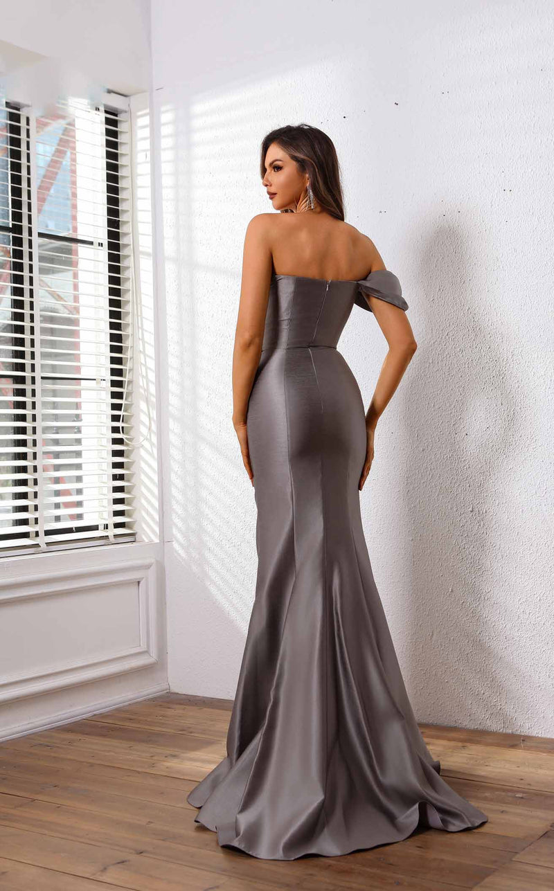 Terani 251E4555 Grey