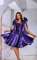Terani 251P4047 Purple