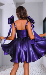 Terani 251P4047 Purple