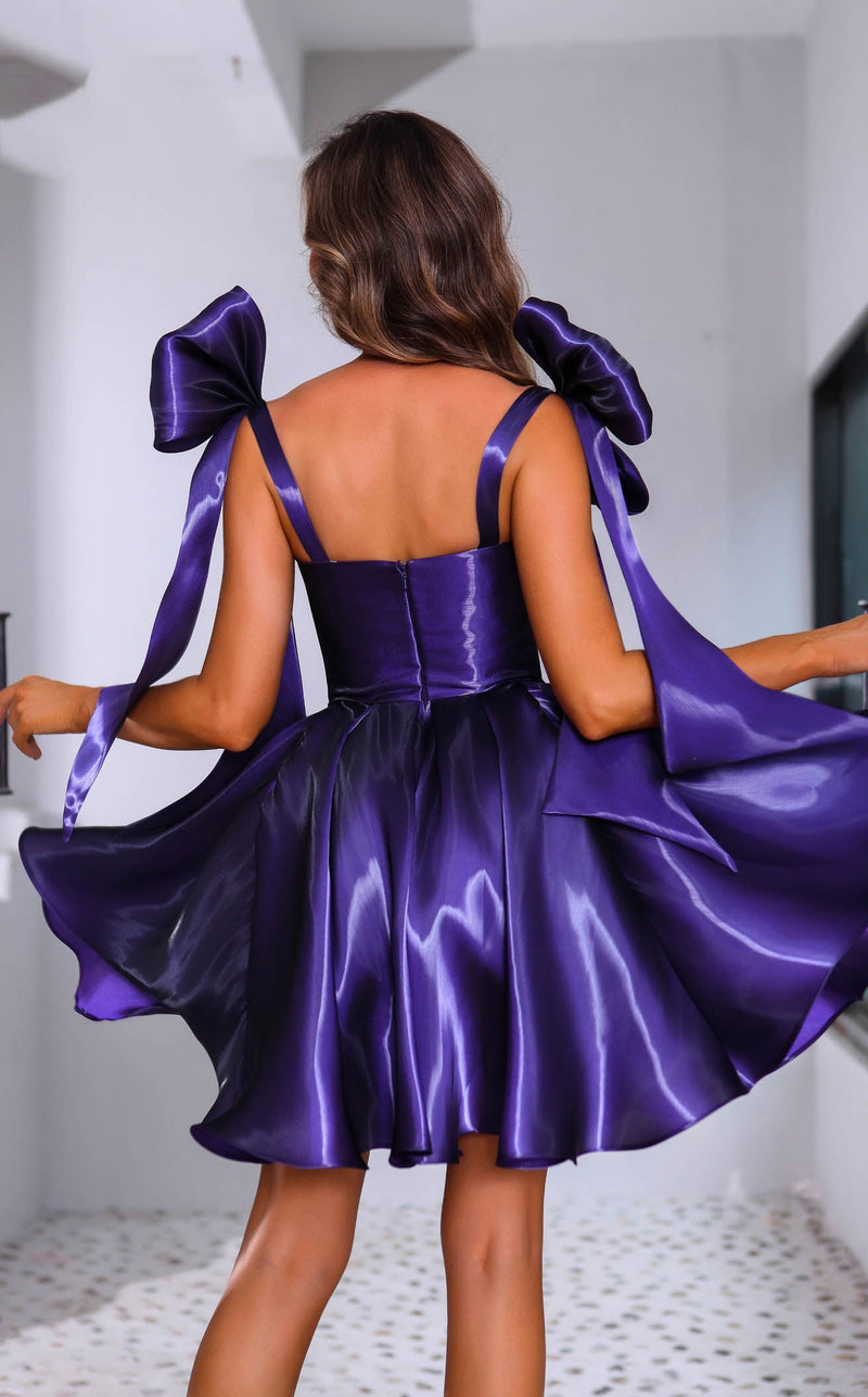 Terani 251P4047 Purple