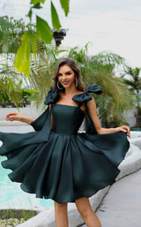 Terani 251P4047 Dark Green