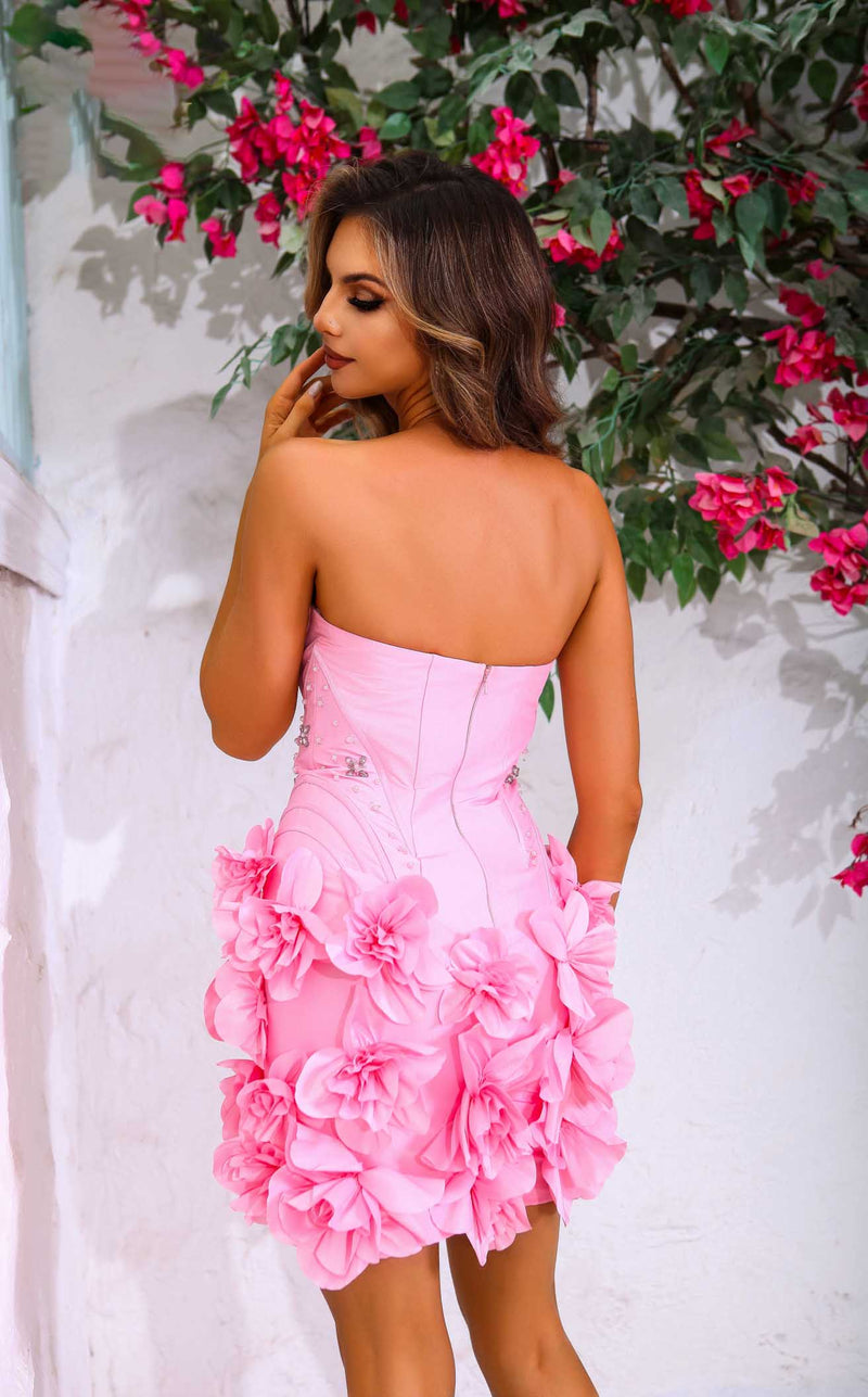 Terani 251P4059 Pink