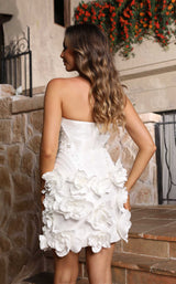 Terani 251P4059 Ivory