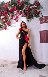 Terani 251P4530 Black-Pink