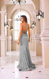 Terani 251p4531 Silver