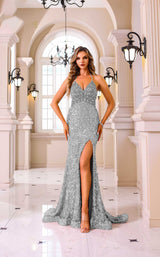 Terani 251p4531 Silver