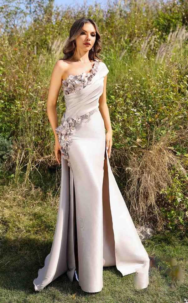 Terani 252E5116 Taupe