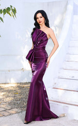 Terani 252E5513 Plum