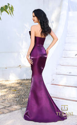 Terani 252E5513 Plum