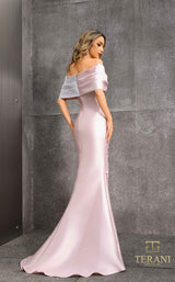 Terani 252M5324 Blush/Silver