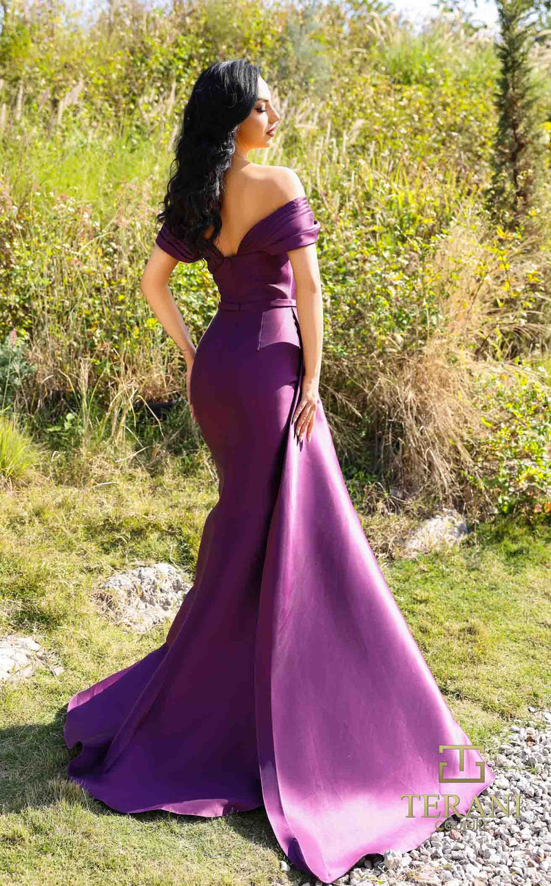 Terani 252M5342 Eggplant