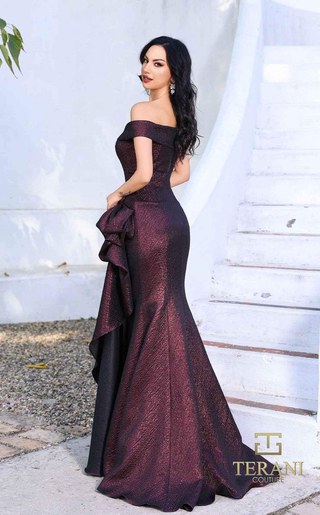 Terani 252M5364 Wine