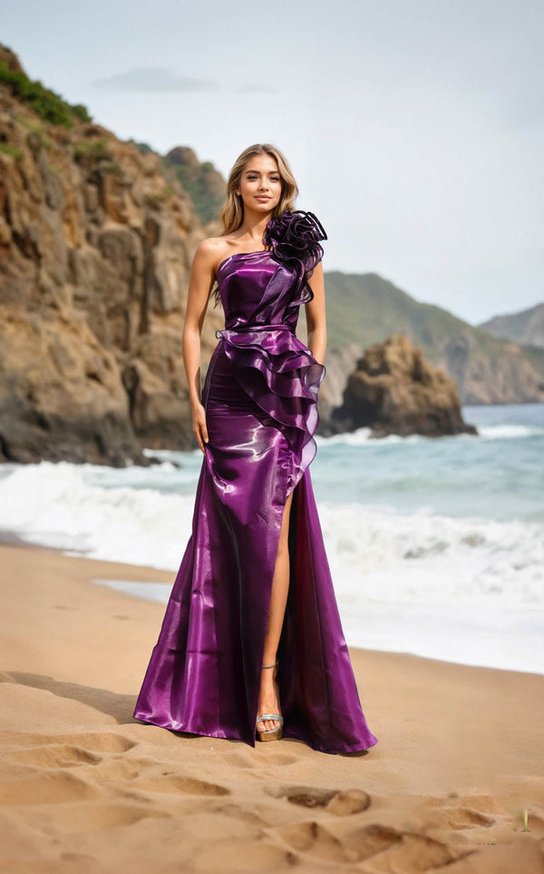 Terani 252E5516 Plum