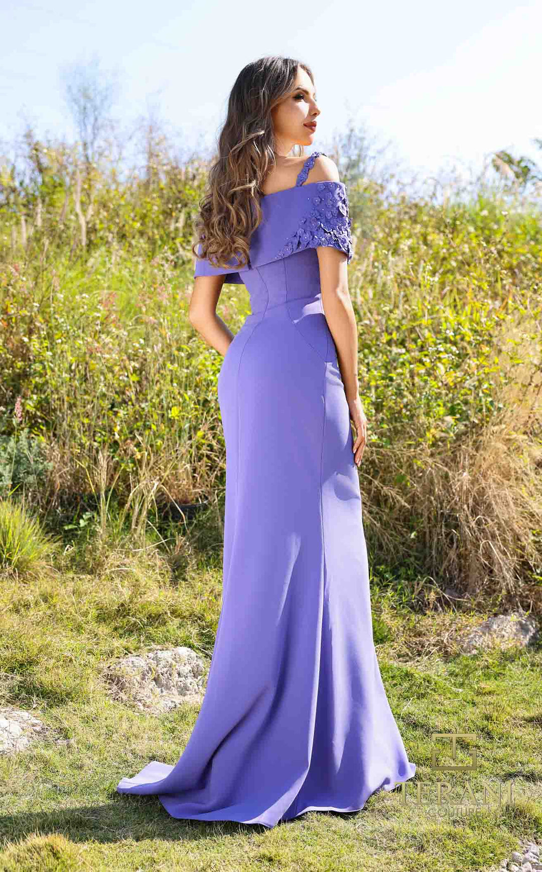 Terani 252m5347 Wisteria