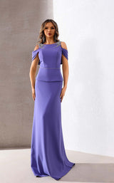 Terani 252m5373 Wisteria
