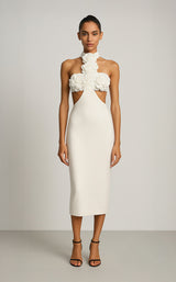 Terani 261C6503 Ivory