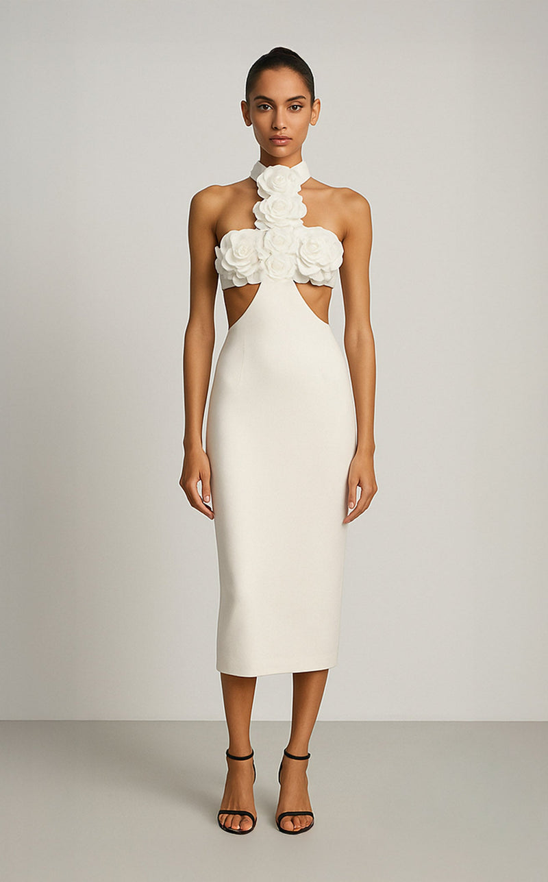 Terani 261C6503 Ivory