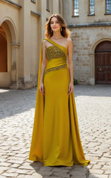 Terani 261E6282 Gold