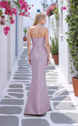 Terani 261E6292 Orchid