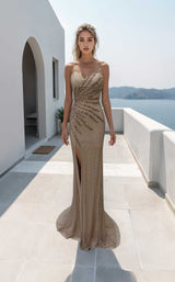 Terani 261P6079 Taupe