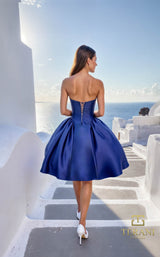 Terani 261P6176 Navy