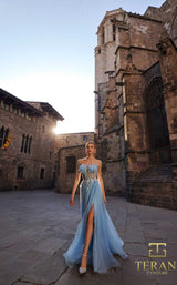 Terani 261P6631 Blue