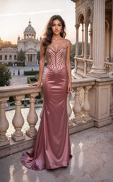 Terani 261P6635 Blush