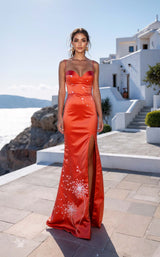 Terani 261P6638 Coral