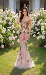 Terani 261p6677 Blush Multi
