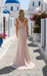 Terani 261E6163 Blush