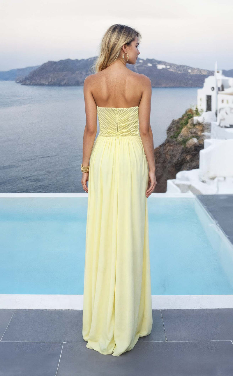 Terani 261E6164 Butter