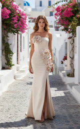 Terani 261e6698 Blush