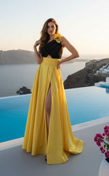 Terani 261E6709 Black/Yellow