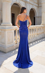 Terani 261P6029 Royal