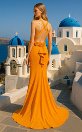 Terani 261p6061 Tangerine