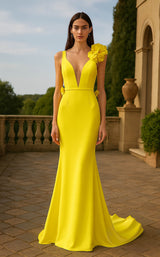 Terani 261p6061 Citrine