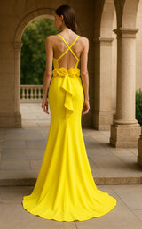 Terani 261p6061 Citrine