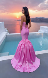 Terani 261P6077 Carnation