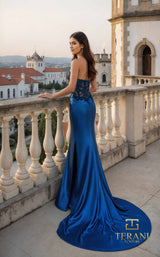 Terani 261P6109 Peacock