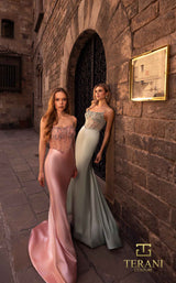 Terani 261P6128 Blush