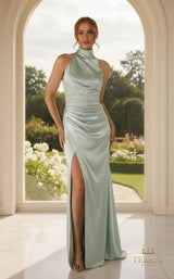 Terani 261P6152 Mint